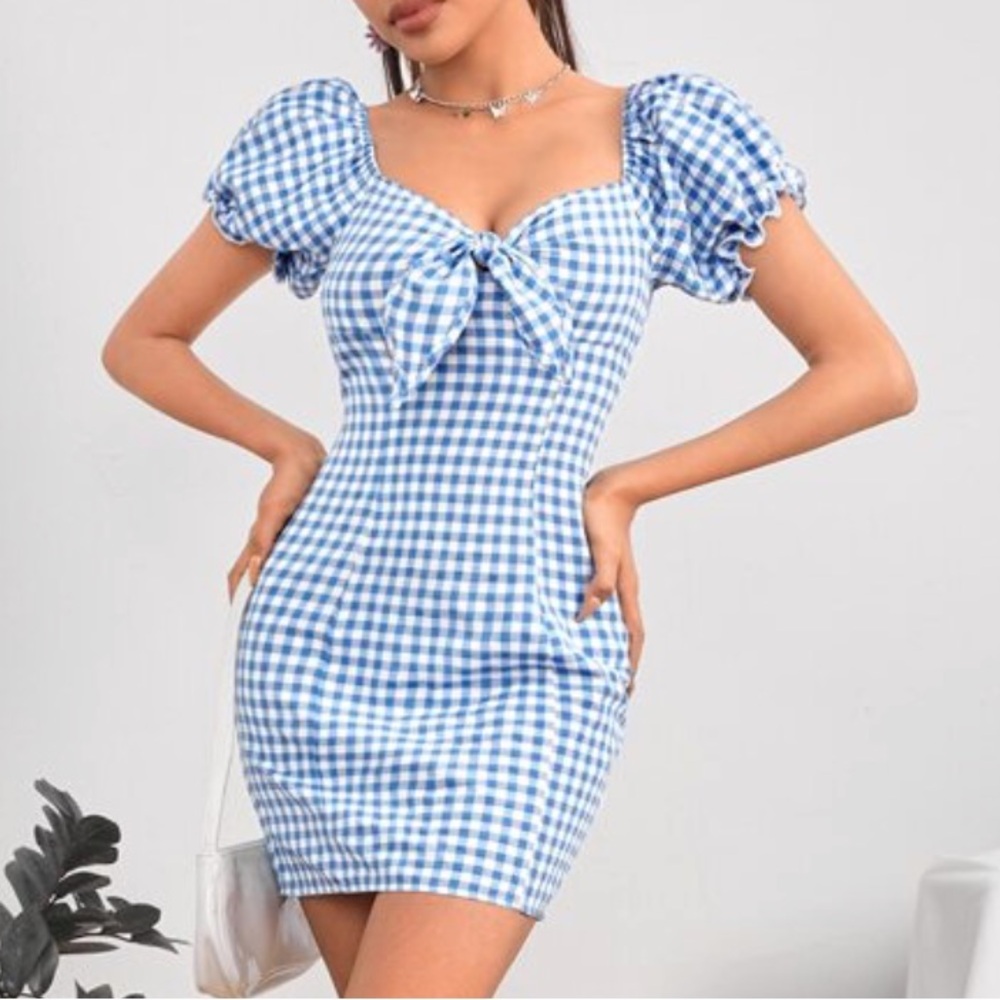 Dorothy Wizard of Oz Halloween costume blue gingham dress
